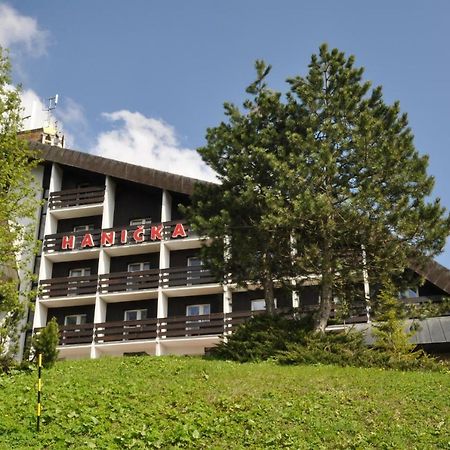 Horský hotel Hanička Špindlerŭv Mlýn Exteriér fotografie
